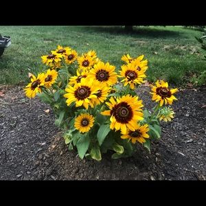 Meet your Posher, Deborah